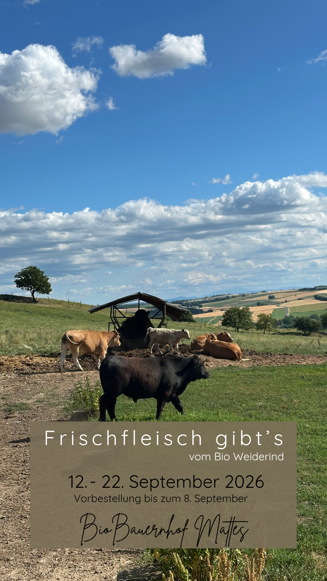 Frischfleisch vom Bio Weiderind